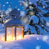 4.12.2020, 15 - 19:30 Uhr: Lösungsorientiertes systemisches Aufstellungsworkshop